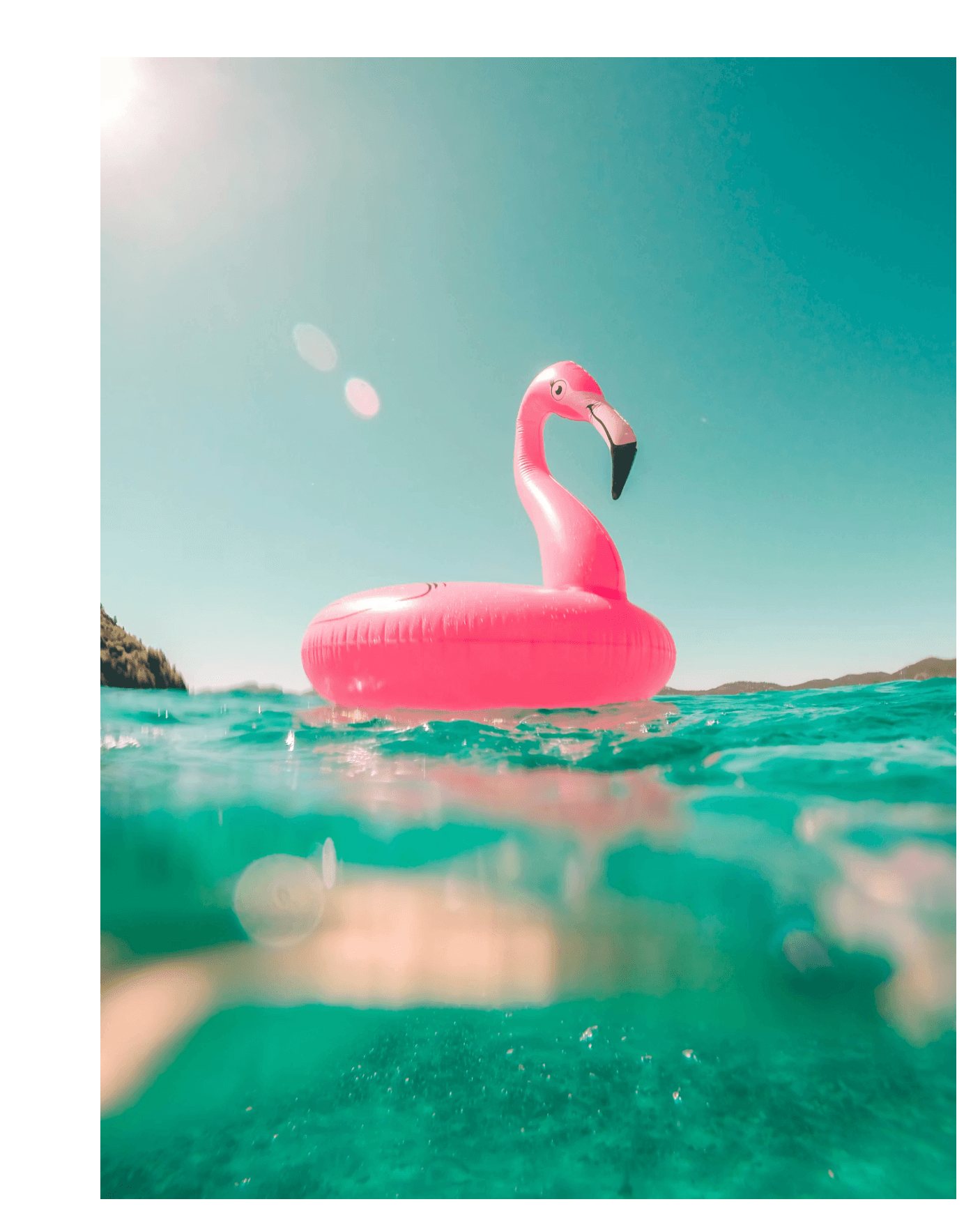 Fixed fare pricing on a tropical island